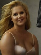 Amy Schumer nude 10