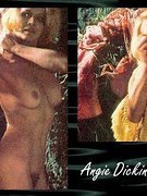 Angie Dickinson nude 42