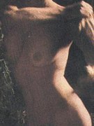 Angie Dickinson nude 91