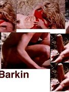 Barkin Ellen nude 22