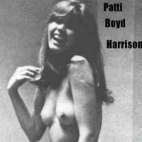 Boyd Harrison-patti