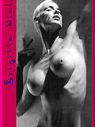 Brigitte Nielsen nude 150