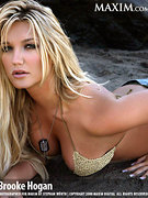 Brooke Hogan nude 29
