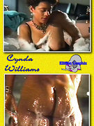 Cynda Williams nude 10