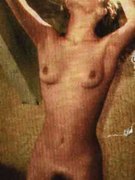 Desiree Nosbusch nude 1