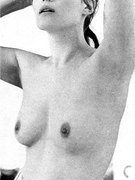 Emmanuelle Seigner nude 132