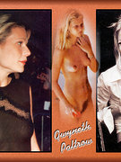 Gwyneth Paltrow nude 59