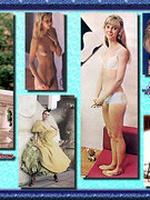 Gwyneth Paltrow nude 94