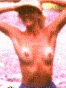 Heather Locklear nude 15