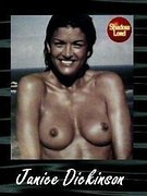 Janice Dickinson nude 3