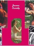 Joanna Cassidy nude 11