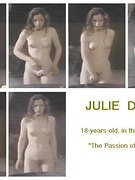 Julie Delpy nude 33