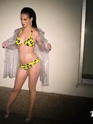 Katy Perry nude 5