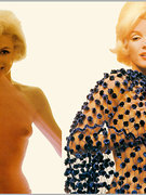 Marilyn Monroe nude 48