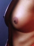 Michelle Bauer nude 61