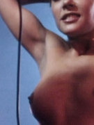 Michelle Bauer nude 64