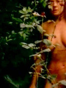 Michelle Bauer nude 68