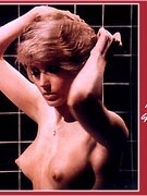Morgan Fairchild nude 16