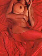 Pam Grier nude 9