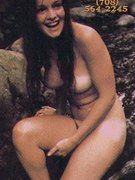 Pamela Sue Martin nude 33