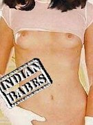 Reena Tandon nude 12