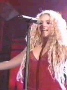 Shakira nude 324