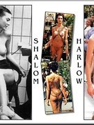 Shalom Harlow nude 177