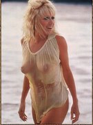 Suzanne Somers nude 3