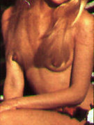 Tiffin Pamela nude 2