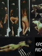 Toni Basil nude 0
