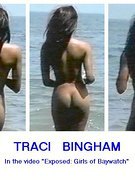 Traci Bingham nude 40
