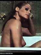 Ursula Andress nude 65