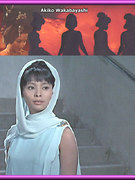 Akiko Wakabayashi nude 0