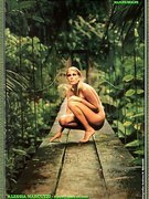 Alessia Marcuzzi nude 123