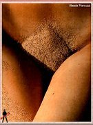 Alessia Marcuzzi nude 63