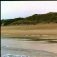 Allison Smith Videos