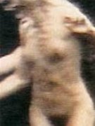 Amanda Donohoe nude 105