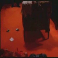 Amber Griebel Videos