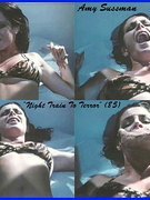 Amy Sussman nude 1
