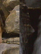 Angela Alvorado nude 0