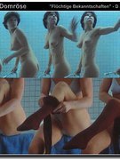 Angelica Domroese nude 2