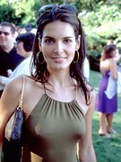 Angie Harmon nude 15