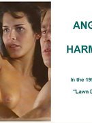 Angie Harmon nude 3