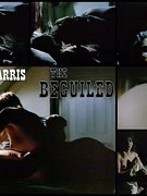 Ann-Harris Jo nude 6