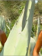 Ann Van-Elsen nude 30