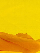 Anouschka Renzi nude 8