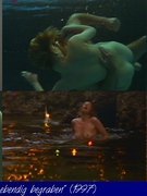 Antje Schmidt nude 1