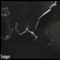 Ashlee Lauren Videos