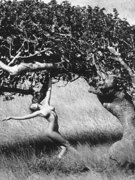 Ashley Richardson nude 14