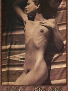 Audie England nude 41